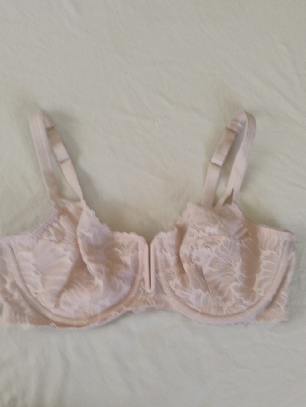 Auden Lace Underwire Bra in Blush Pink 38DD